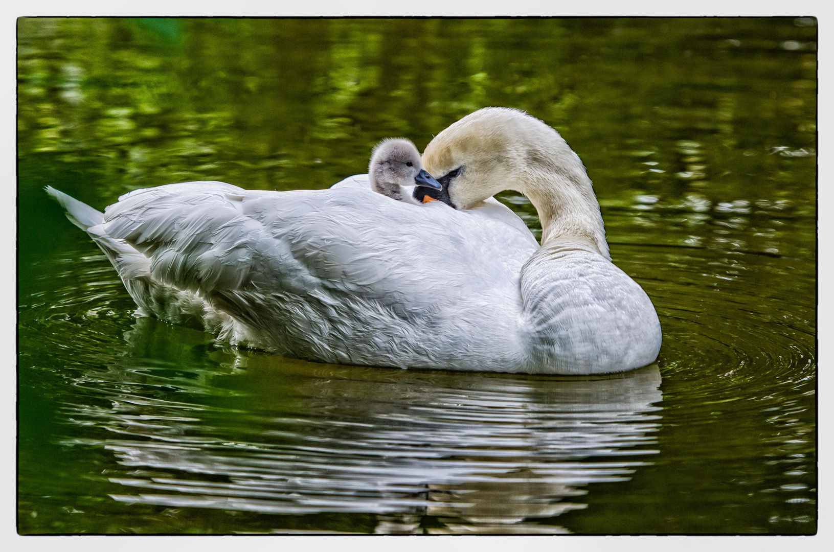 Mother and son ...