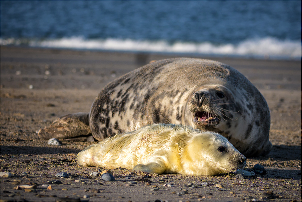 Mother and son...