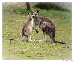 Mother and son