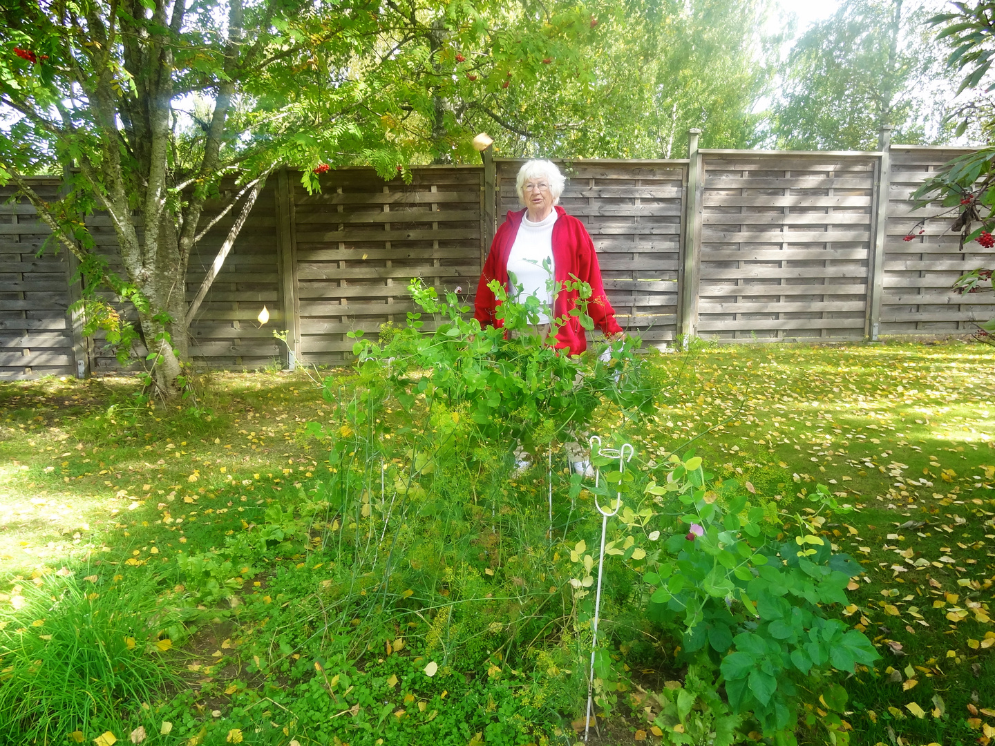 Mother at her garden plot one month before she was murdered