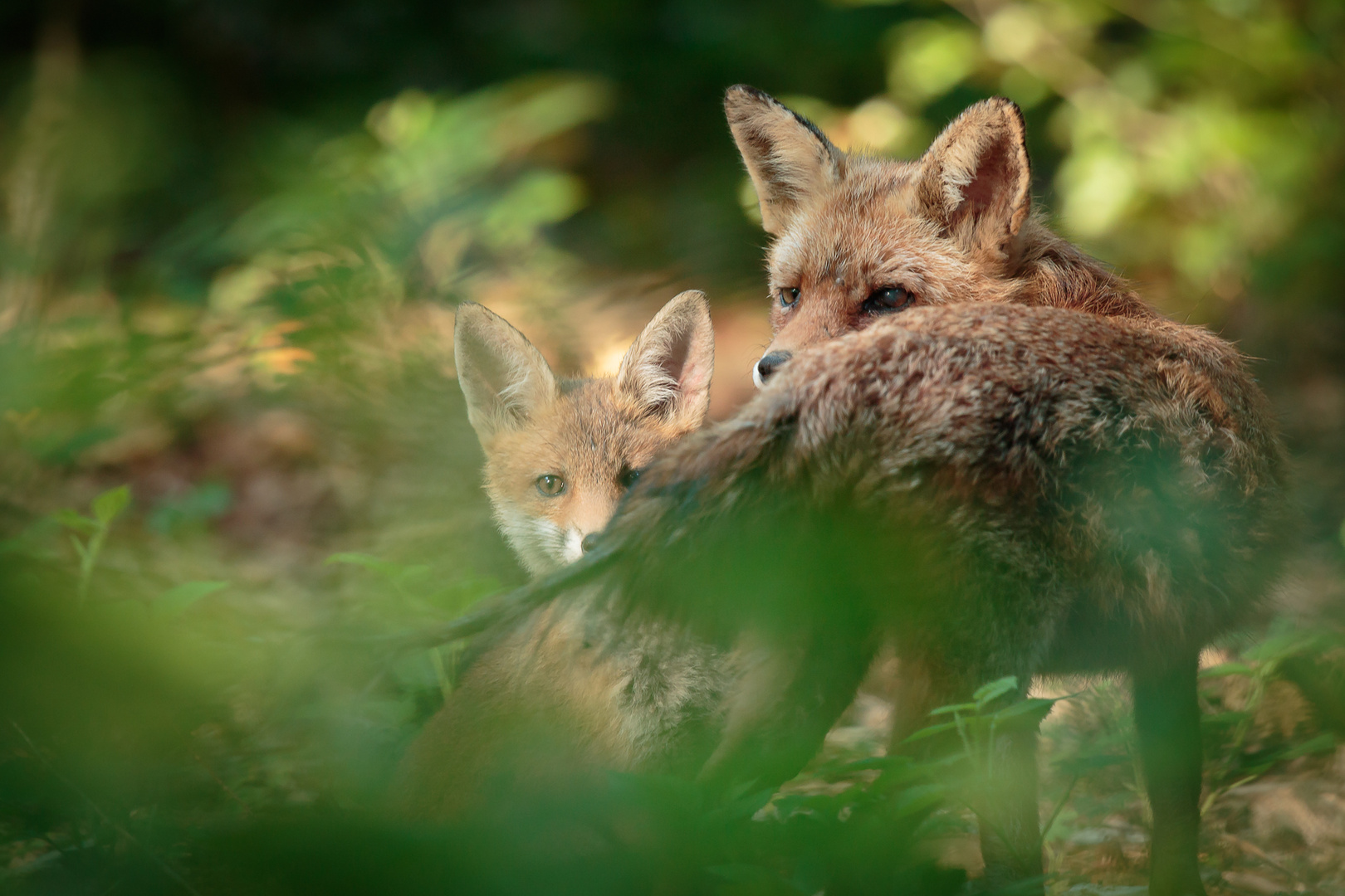 Mother & Child,