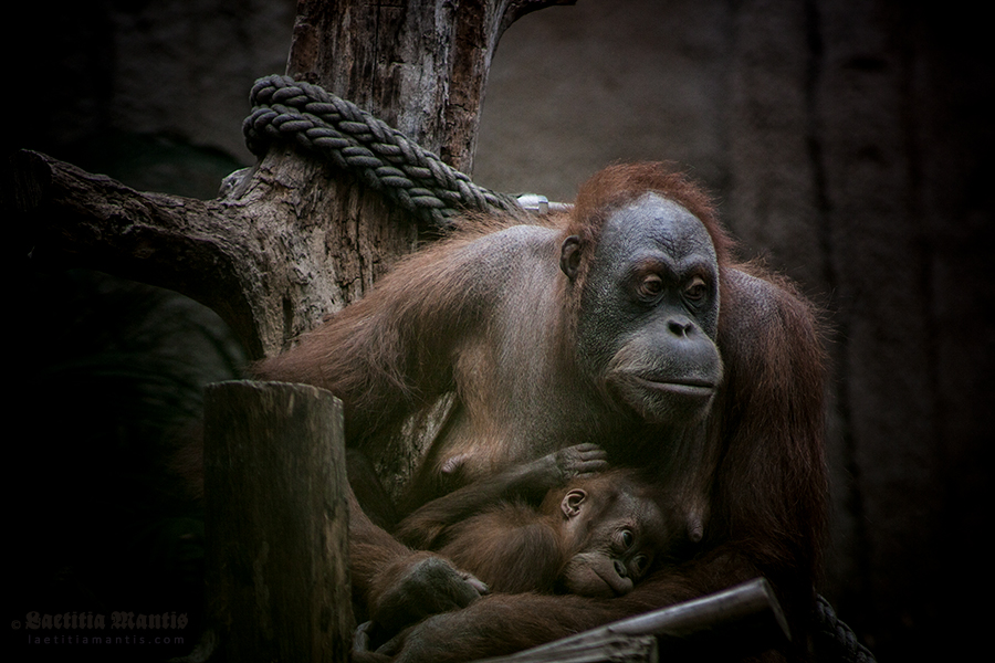 Mother & Child