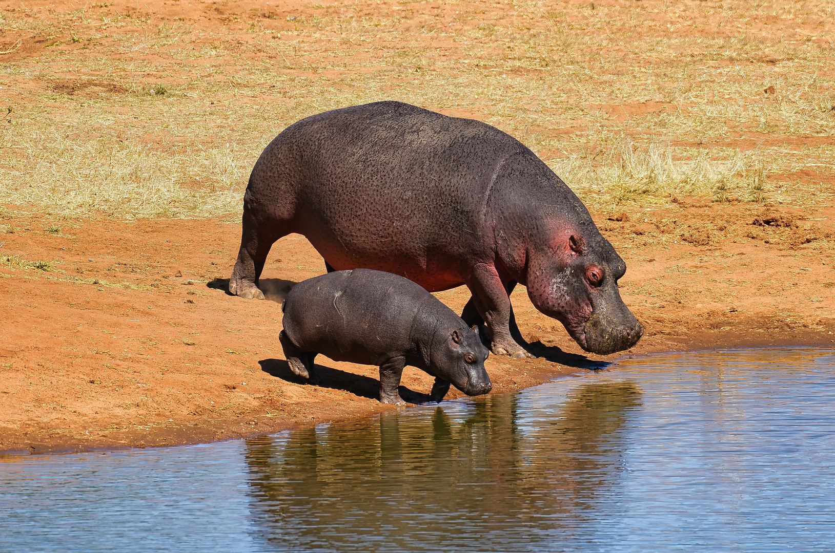 Mother & Child