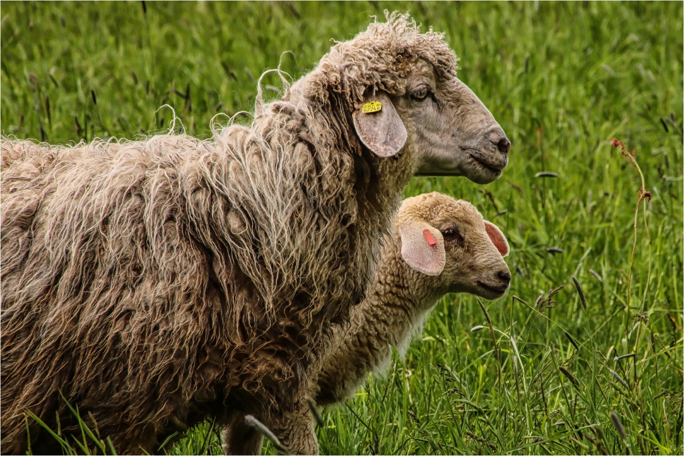 Mother & Child Reunion