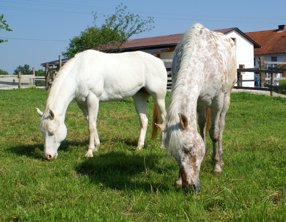 mother & daughter