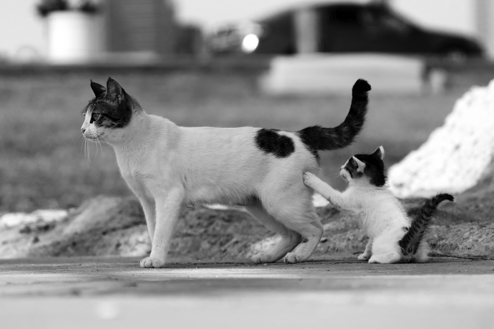 Mother & Daughter 