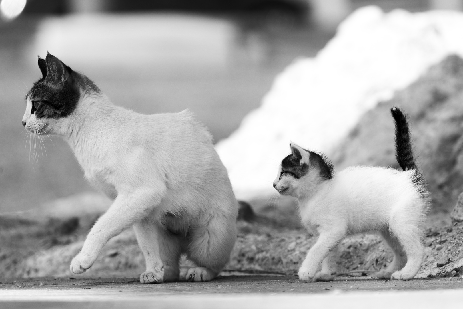 Mother & Daughter 