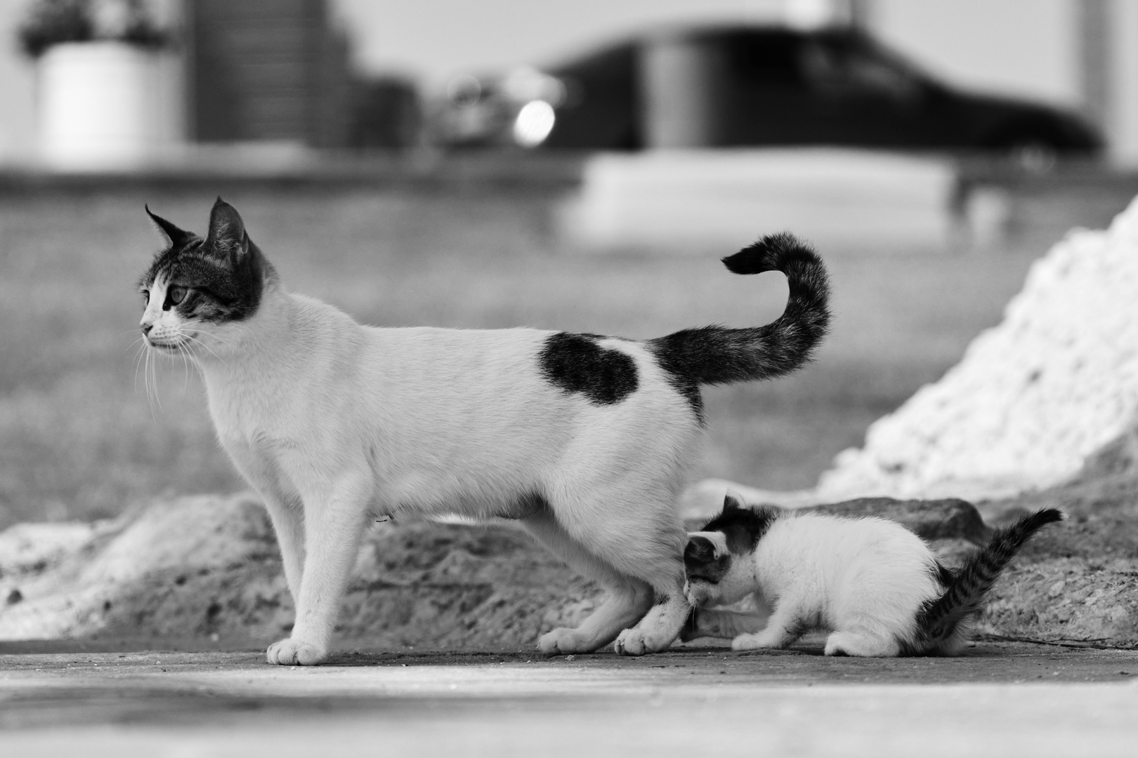 Mother & Daughter 