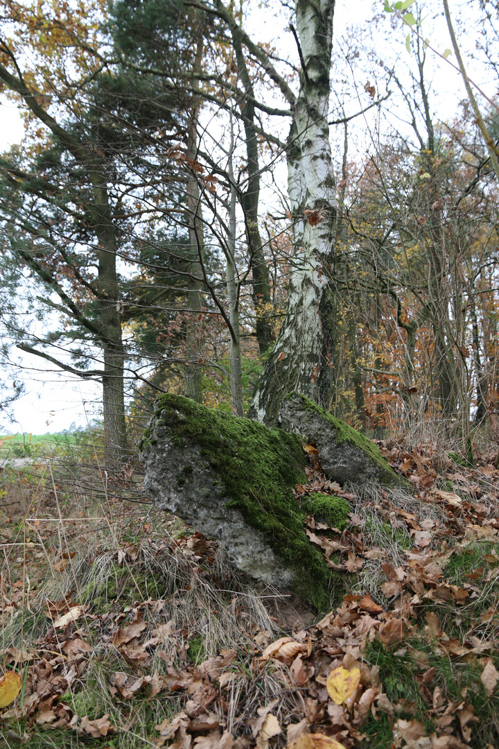 Mother Earth reclaims her floor