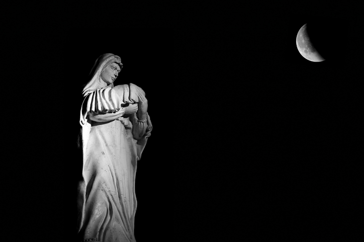 Mother & Moon