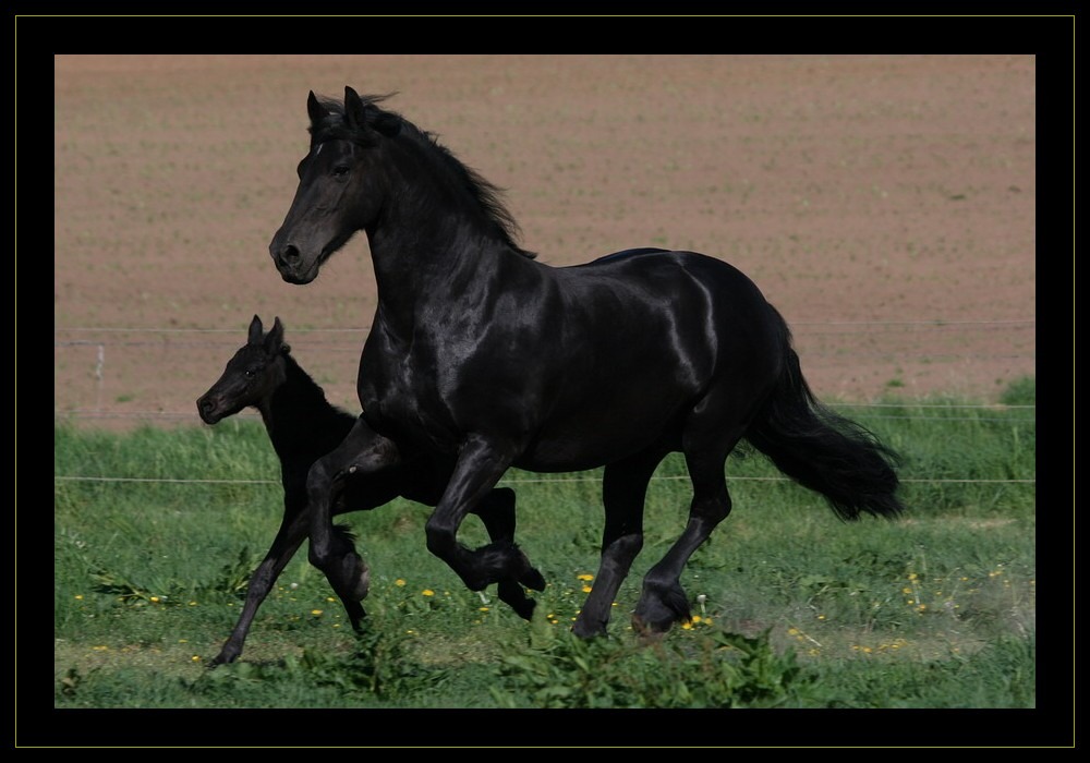 Mother & son