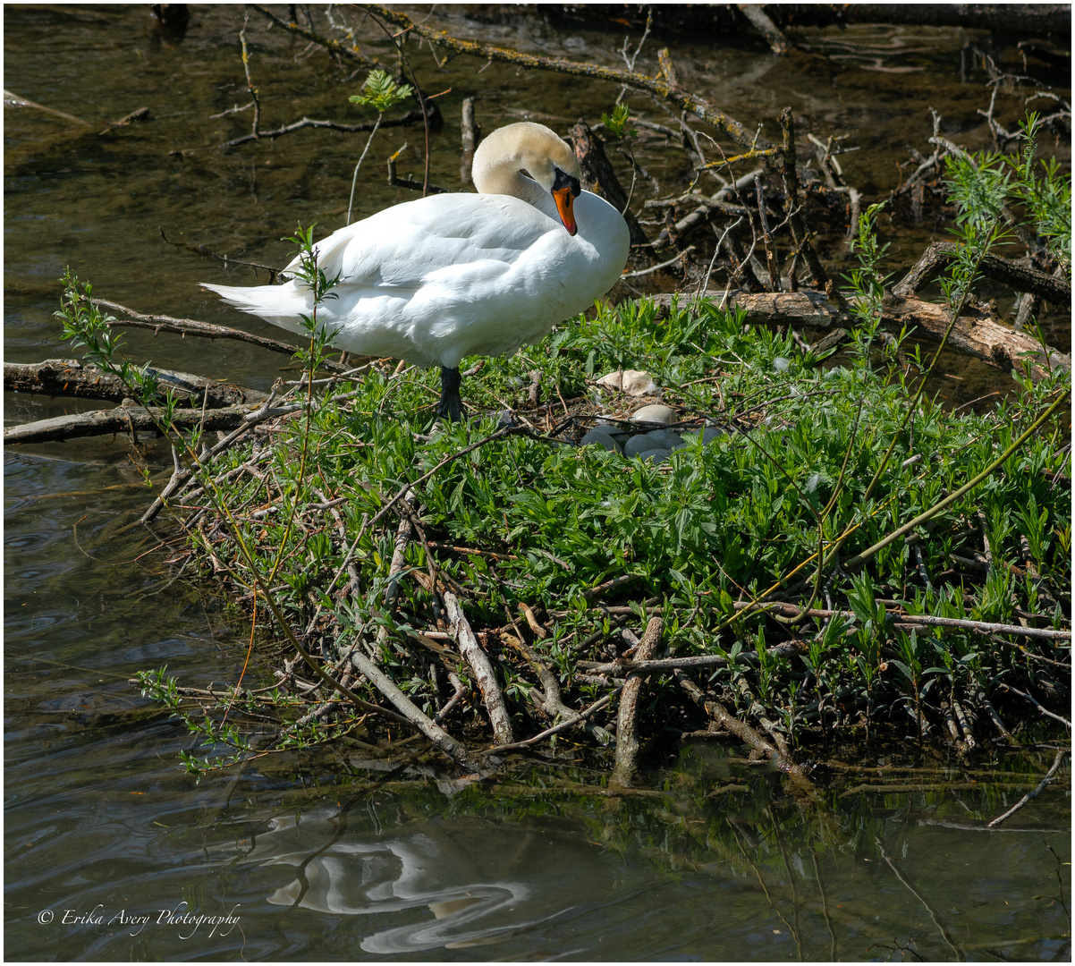 Mother-to-be