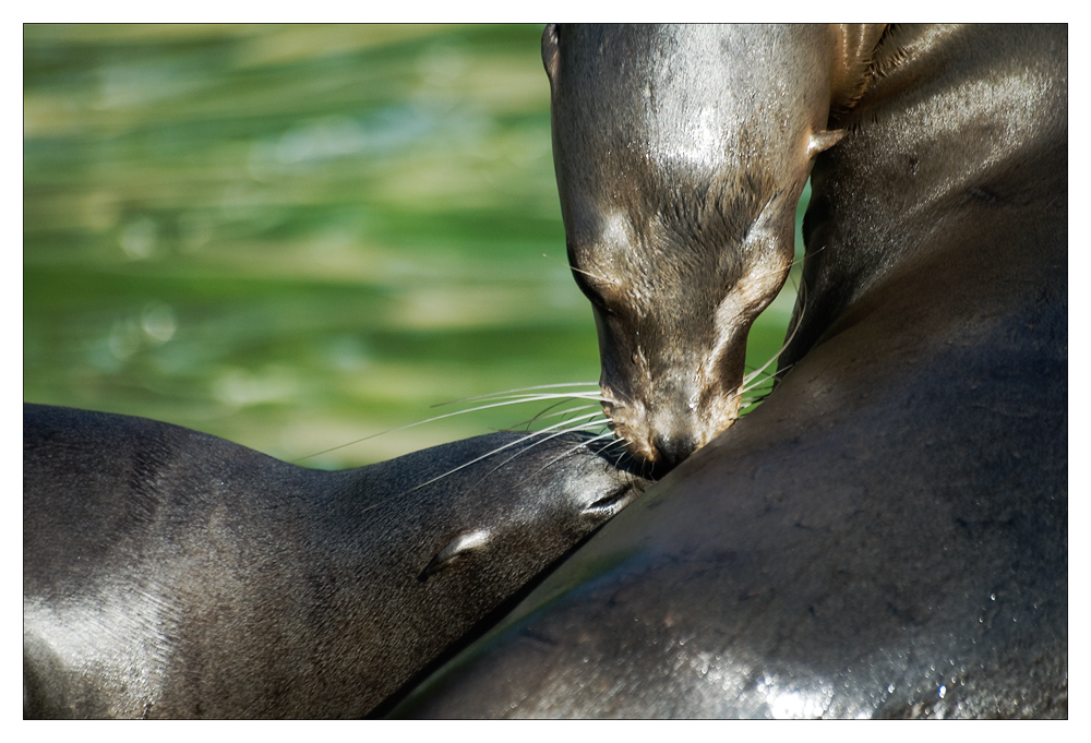 ...motherly love...