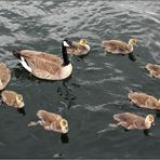 Mother's Day Parade