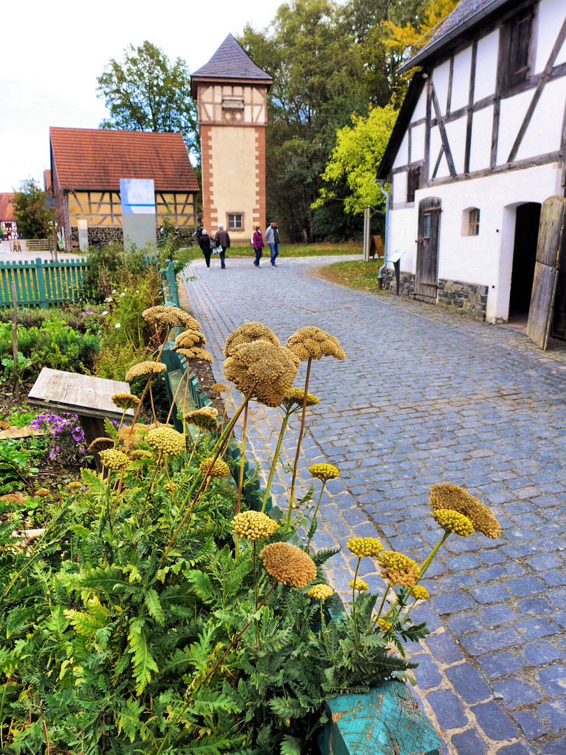 Motiv aus dem Hessenpark