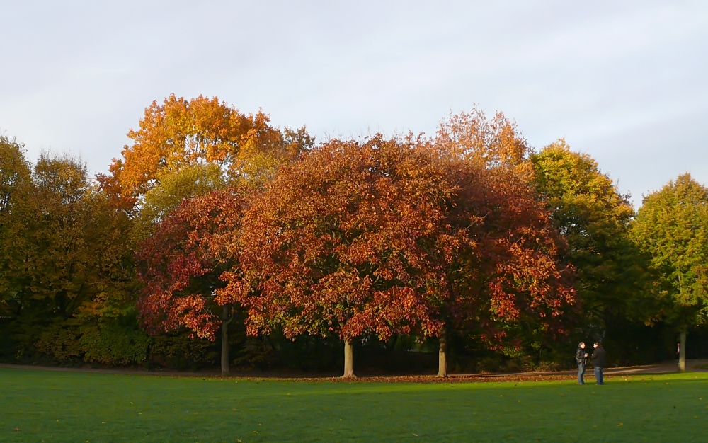 Motiv Herbst