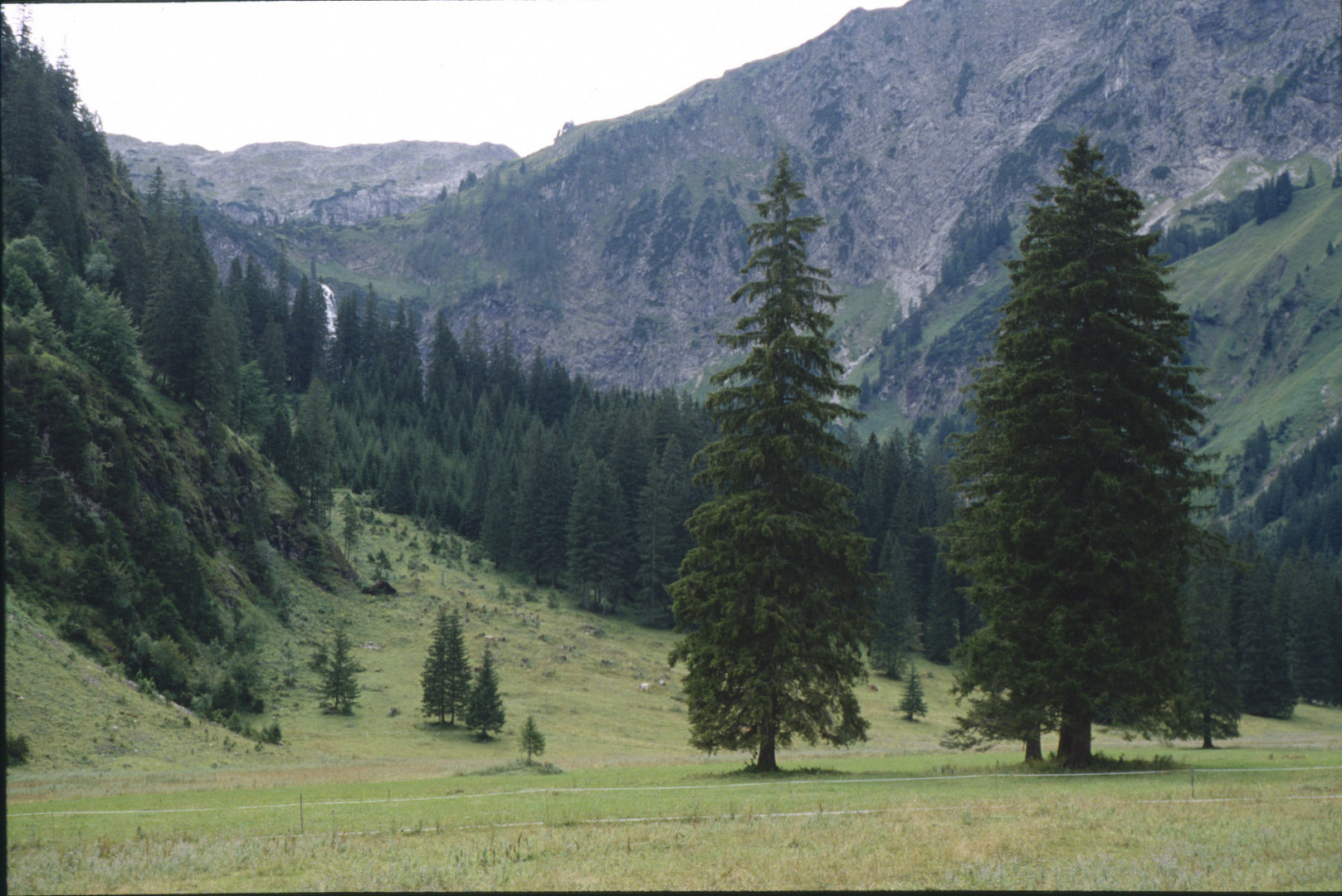 Motiv im Tannheimer Tal