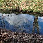 Motiv im Volksgarten Düsseldorf