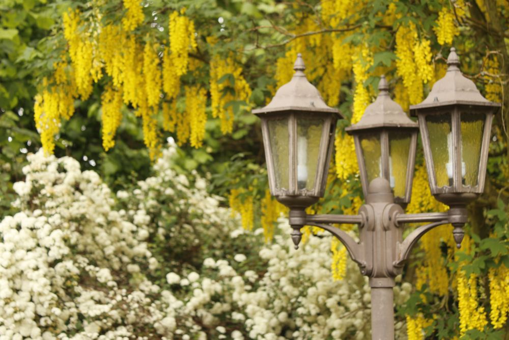 Motiv in Rephuns Garten in Zerbst Foto & Bild world, reisen