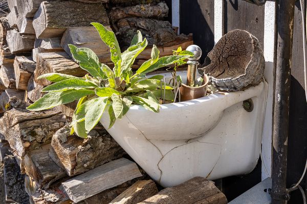 Motive Mühle Eimersleben