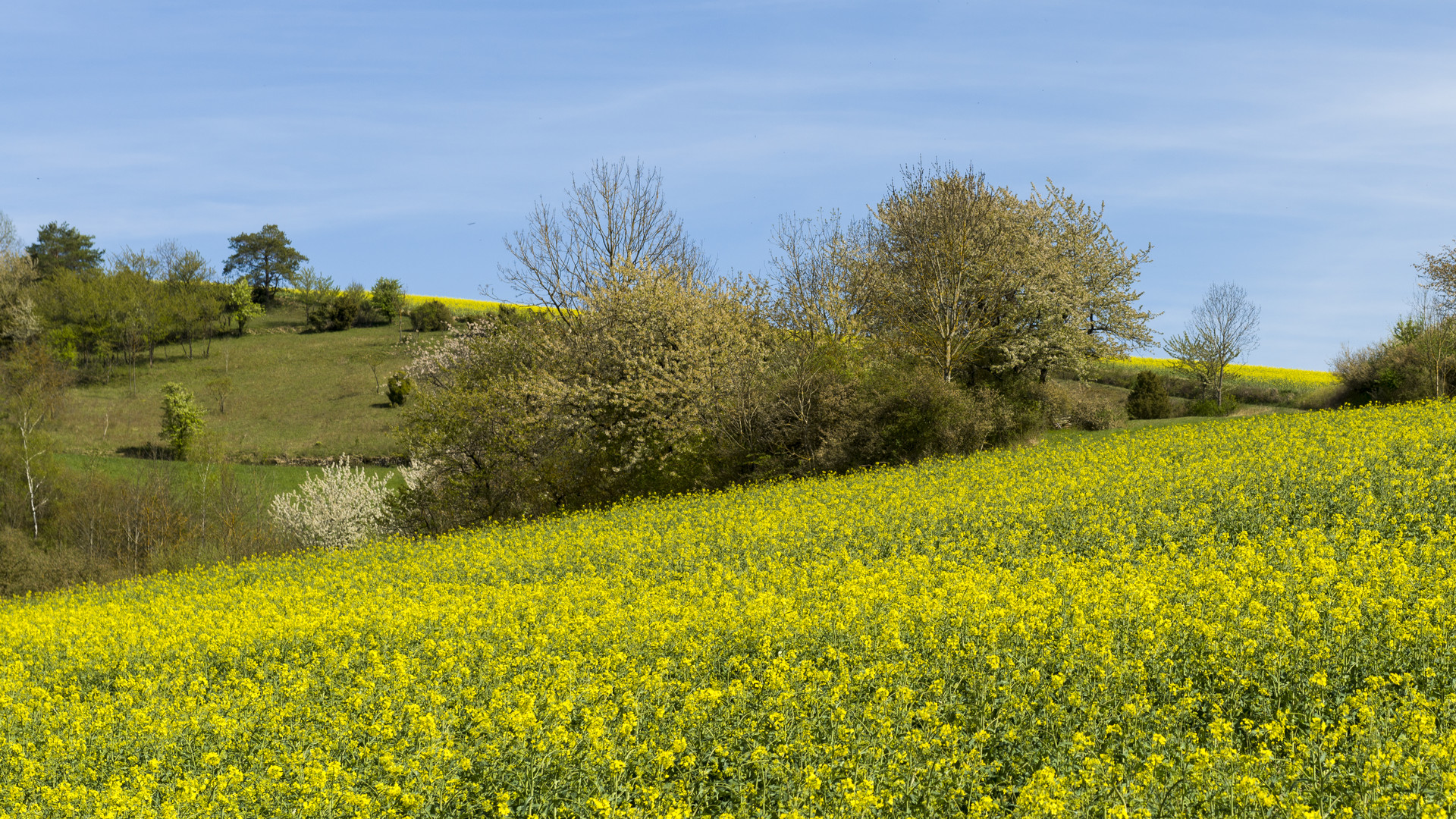 Motivierender Frühling 1