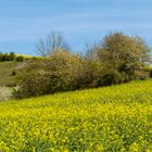 Motivierender Frühling 1