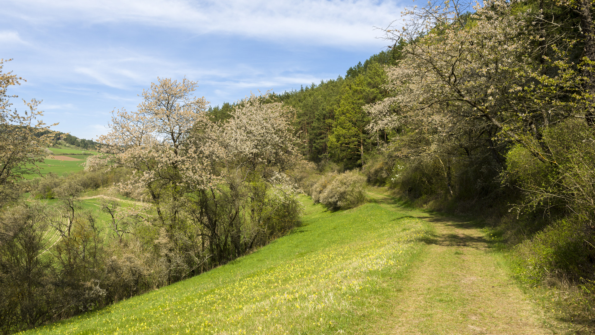 Motivierender Frühling 2