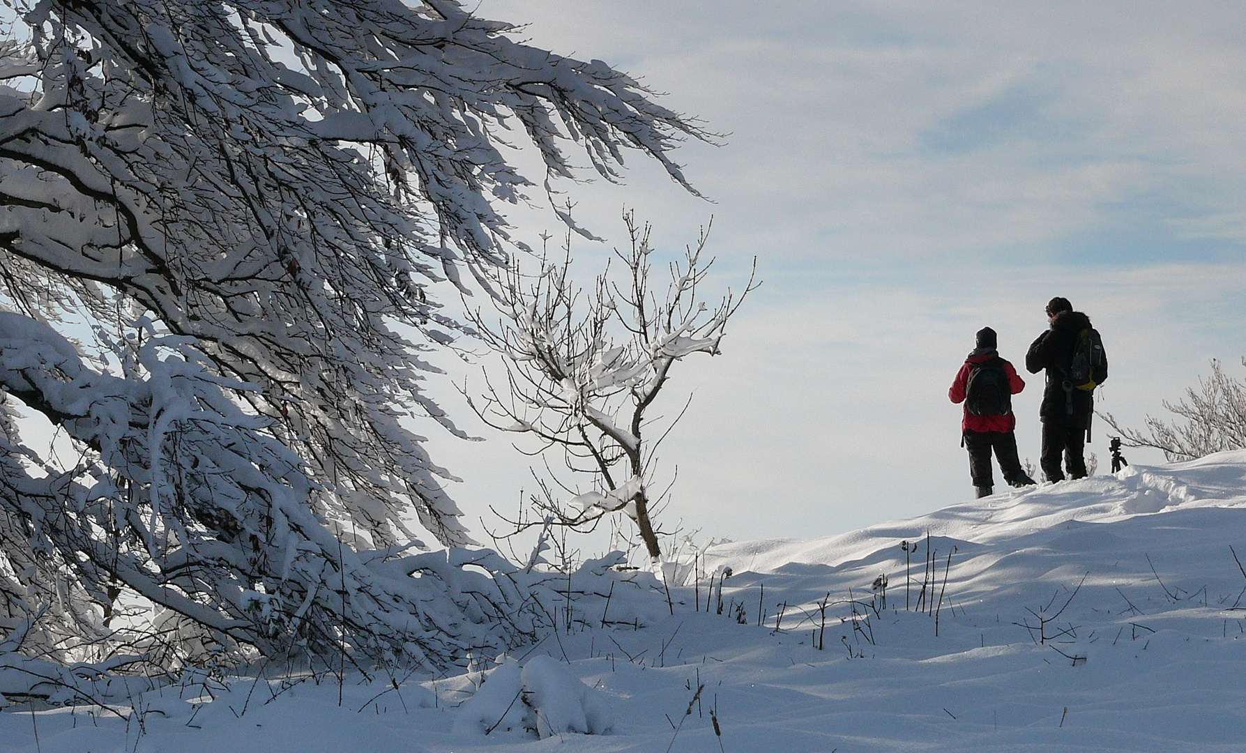 Motivsuche im Schnee