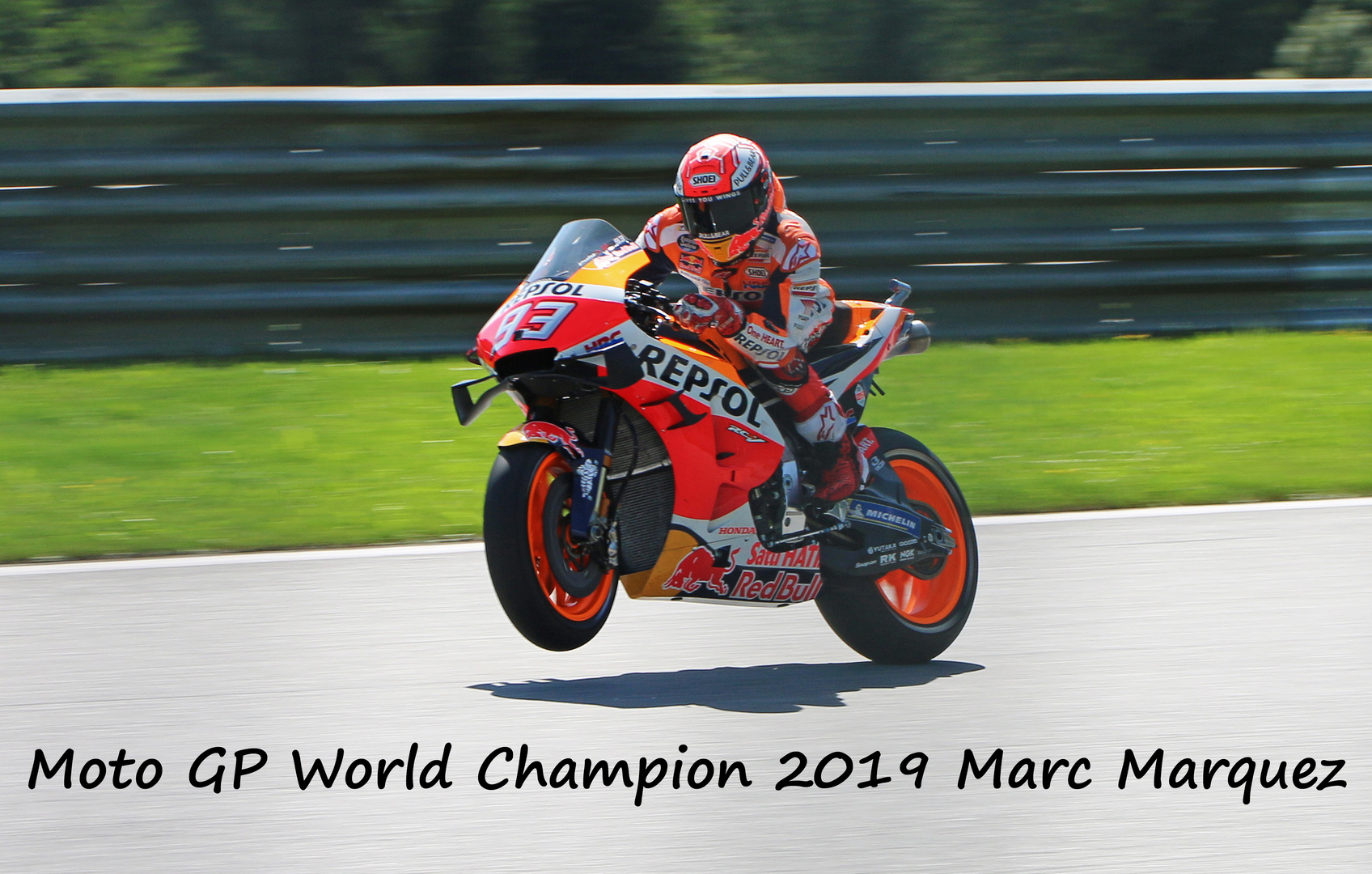 Moto GP World Champion 2019