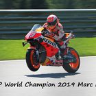 Moto GP World Champion 2019