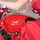 moto guzzi in rot