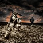 ~MotoCross~