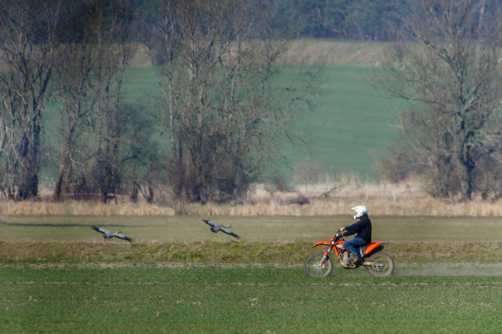 Motocross (Doku)