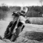 Motocross VIII