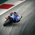 MotoGP 2017 Österreich/17