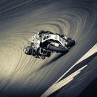 MotoGP 2017 Österreich/5