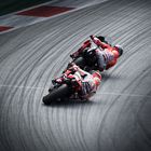 *MotoGP 2018/9*  