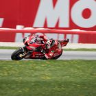 *MotoGP 2019*