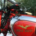 motoguzzi GTV 500 1947