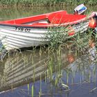 Motorboot auf dem Råån