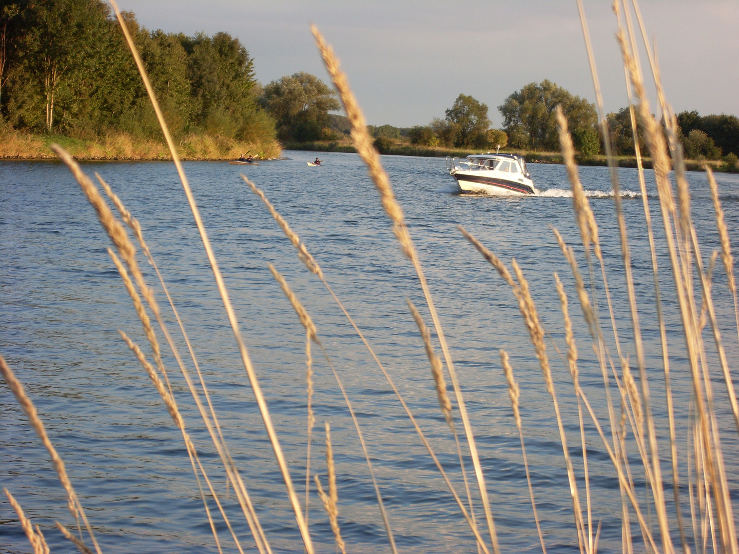 Motorboot auf der Weser