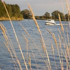 Motorboot auf der Weser