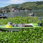 Motorboot Lake Toba, Sumatra