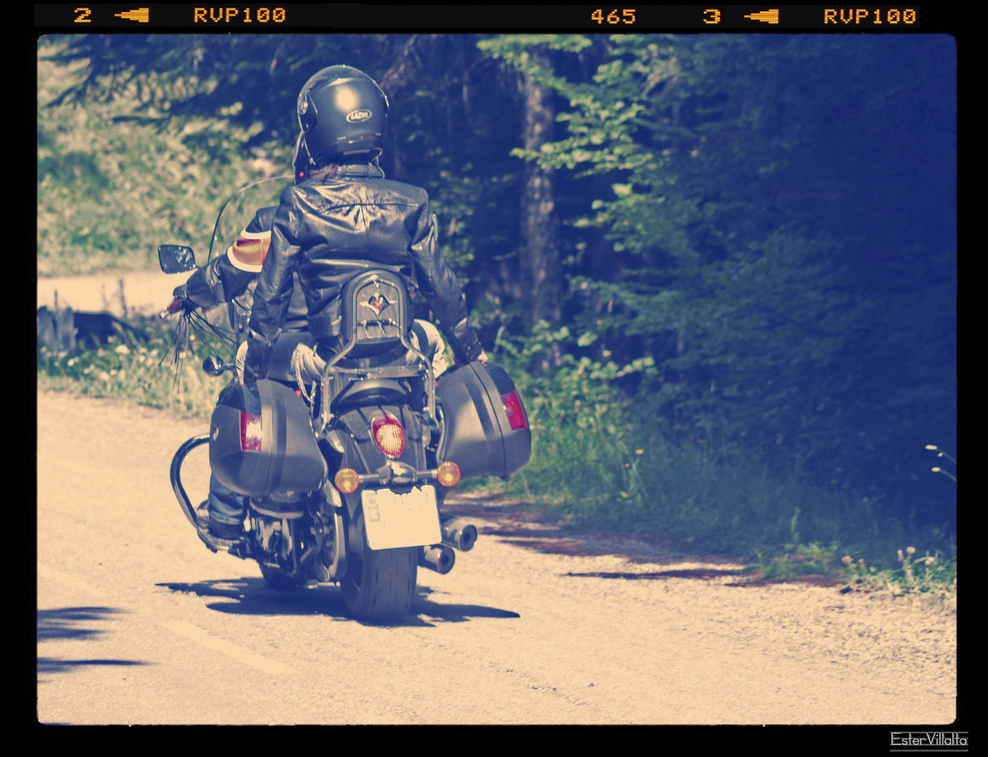 Motorcycle in the forest