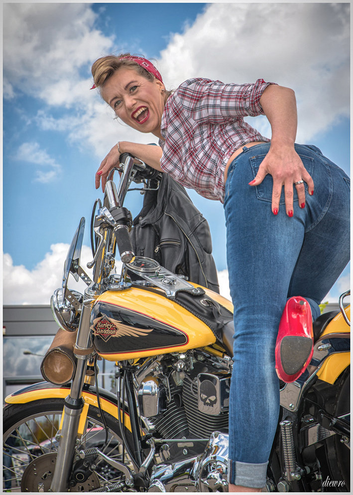 Motorcycle Pin Up Girl 