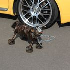 Motorhund