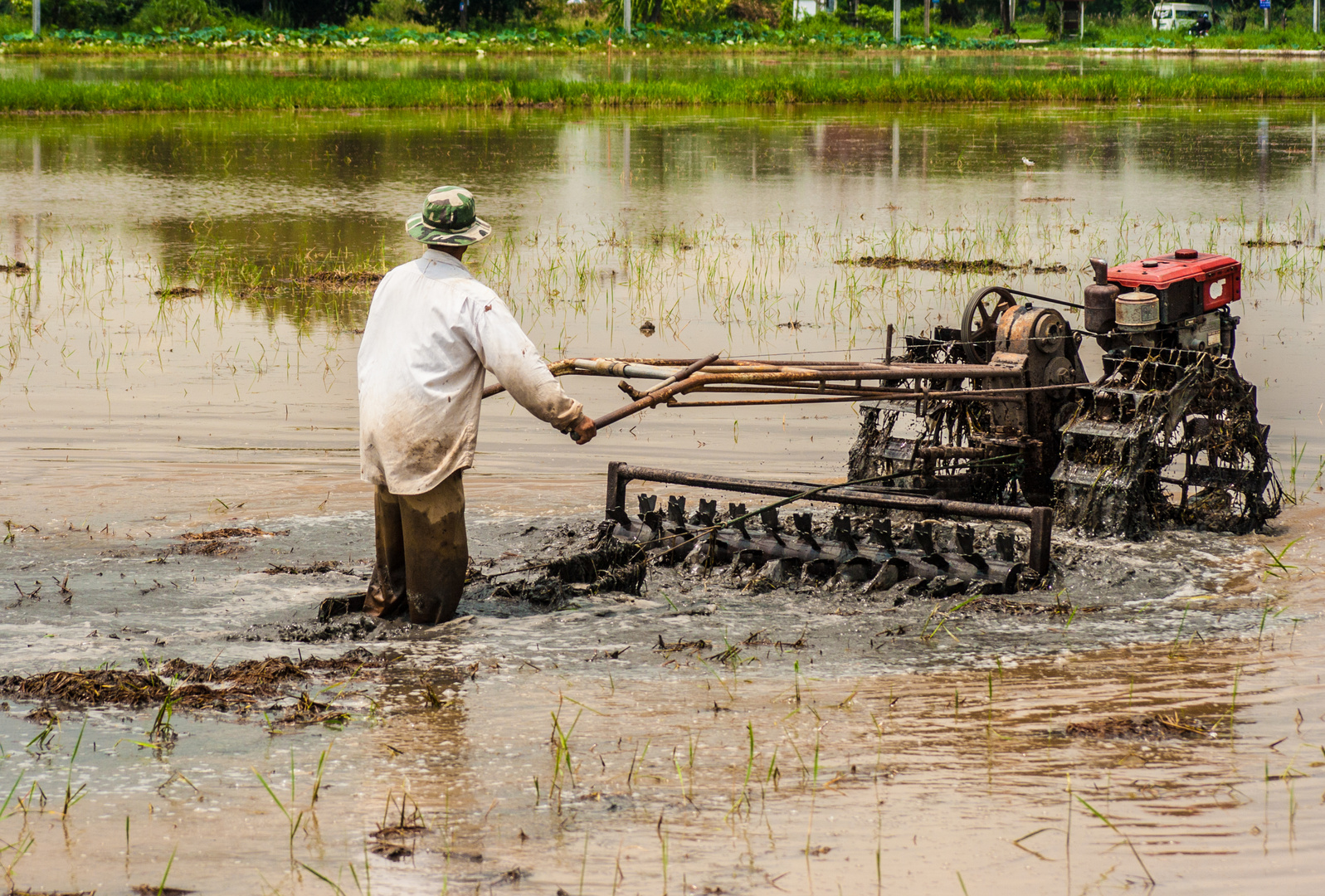 Motorisierter Reisbauer