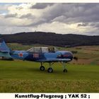 Motorkunstflug-Flugzeug YAK 52 beim Flugtag in Uslar am 07.09.08