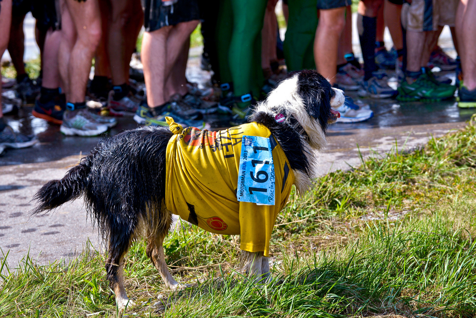 Motorman Run 2013    'und immer schön in der Reihe bleiben ....'