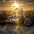 Motorrad im Sonnenuntergang